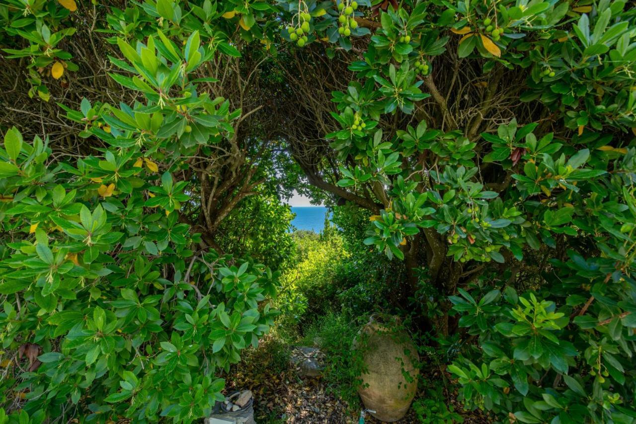 Hostal Il Carrubo Capri Anacapri  Exterior foto