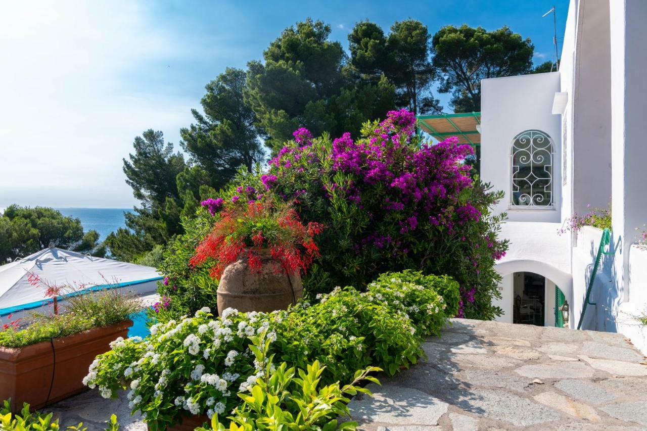 Hostal Il Carrubo Capri Anacapri  Exterior foto